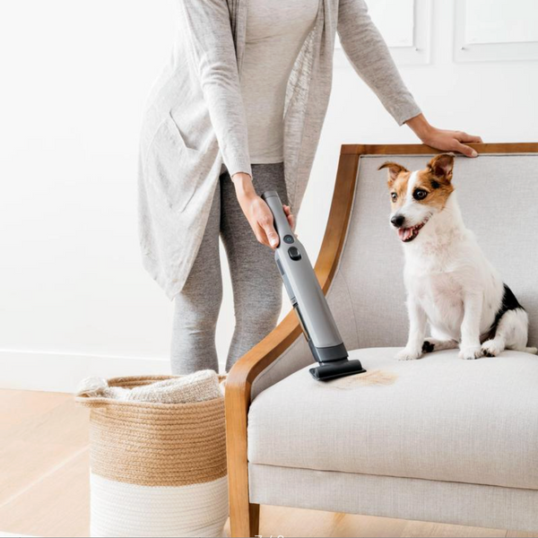 Shark Cordless Hand Vac